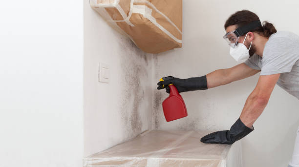 Professional Bathroom Mold Removal technician working in Princeton, NJ