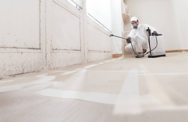 24/7 Emergency Bathroom Mold Removal experts in Princeton, NJ
